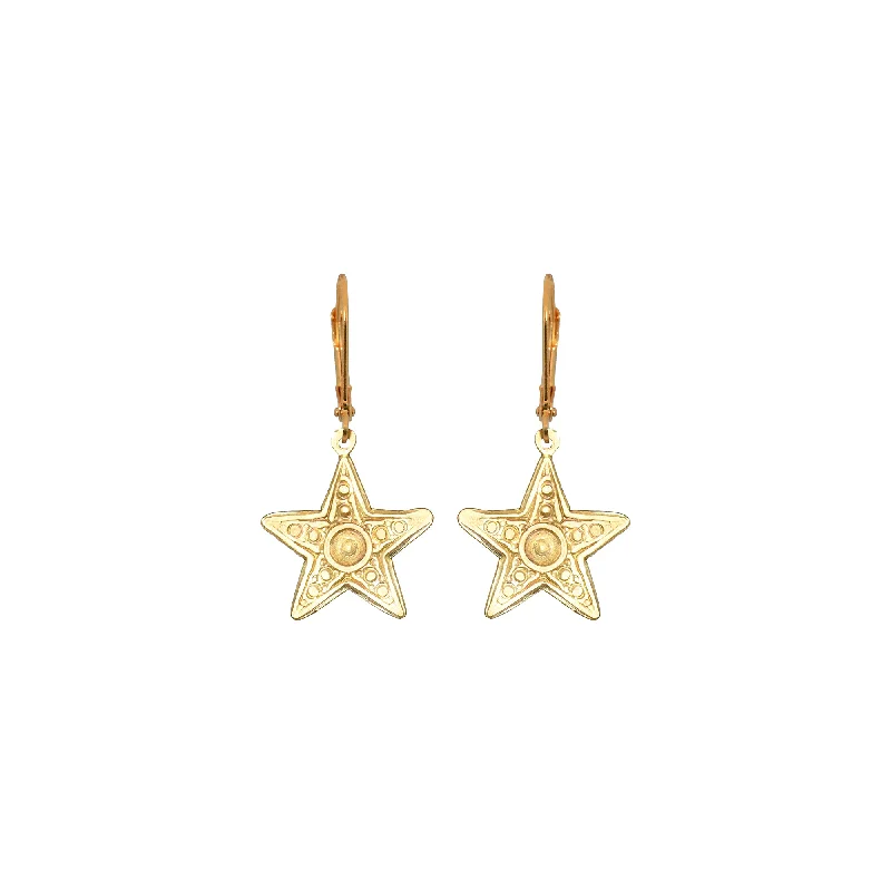 Small hoop earrings for a delicate and understated everyday wear-Small Star Earrings